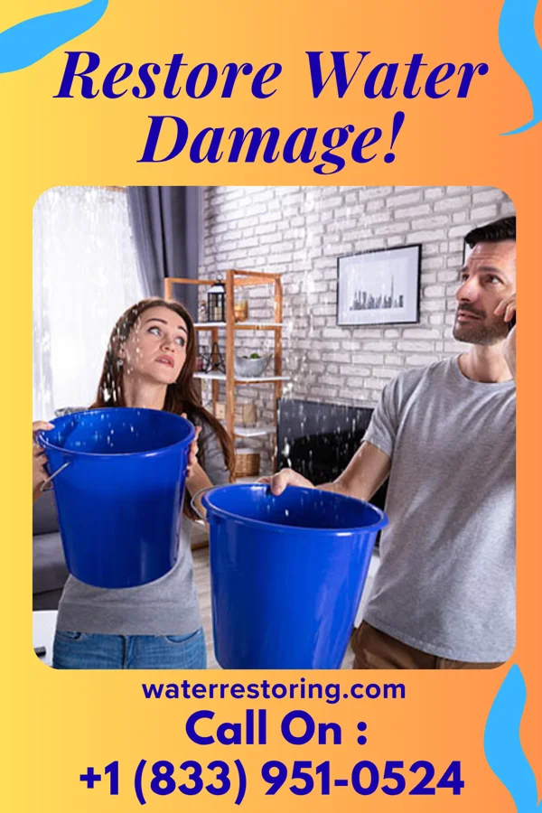 water restoration Premier Water Removal Crew Malden