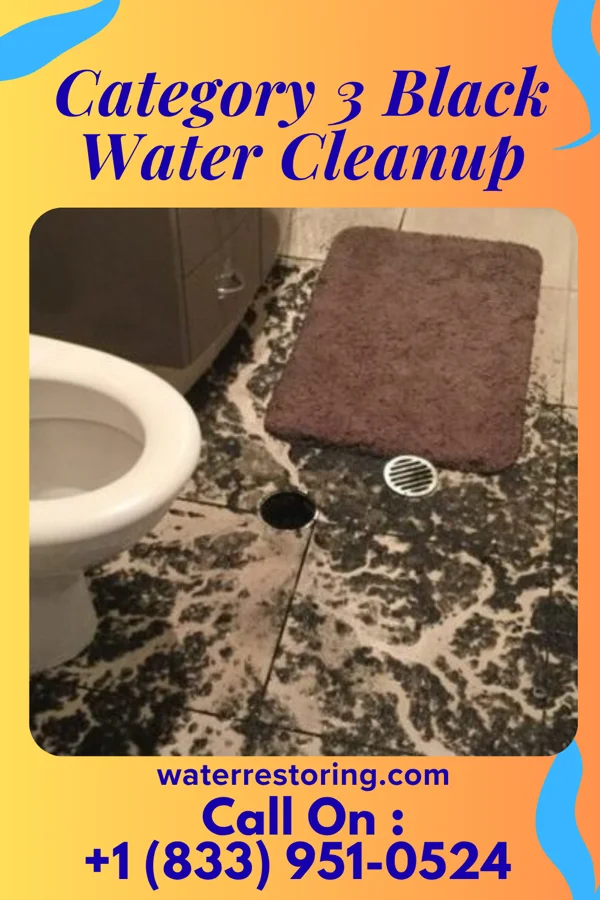 Category 3 Black Water Cleanup in Malden, MA