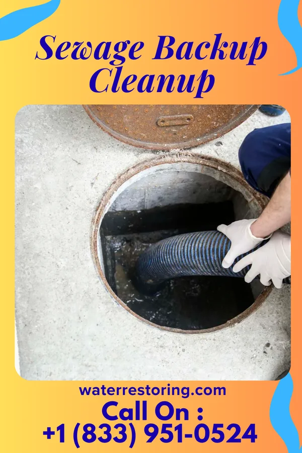 Sewage Backup Cleanup in Malden, MA